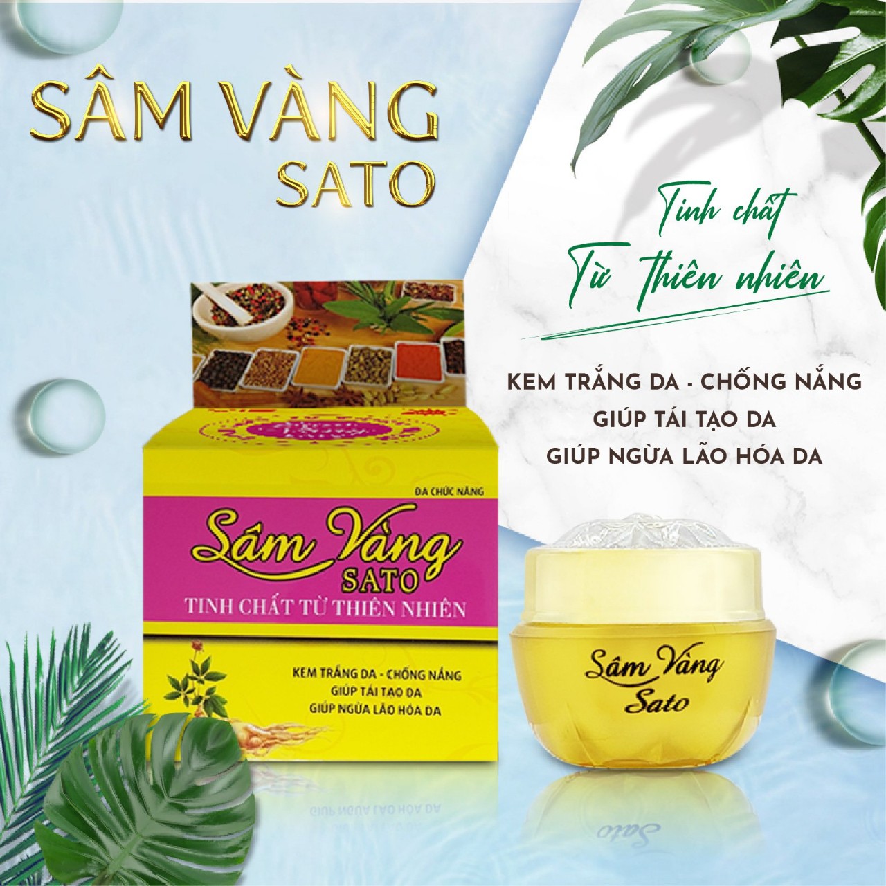 sâm vàng sato trắng da chống lão hóa tái tạo da 